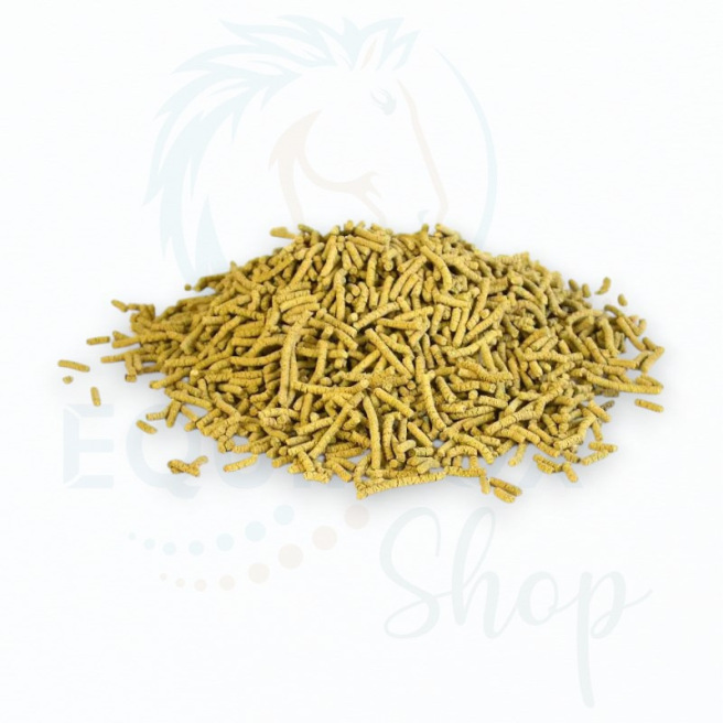 Biotine forte par Vital'Herbs