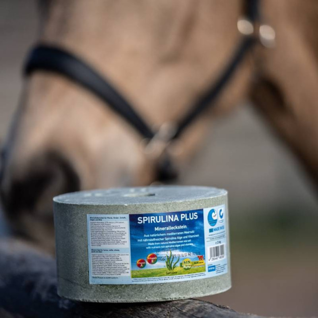 Pierre à sel Spirulina PLUS