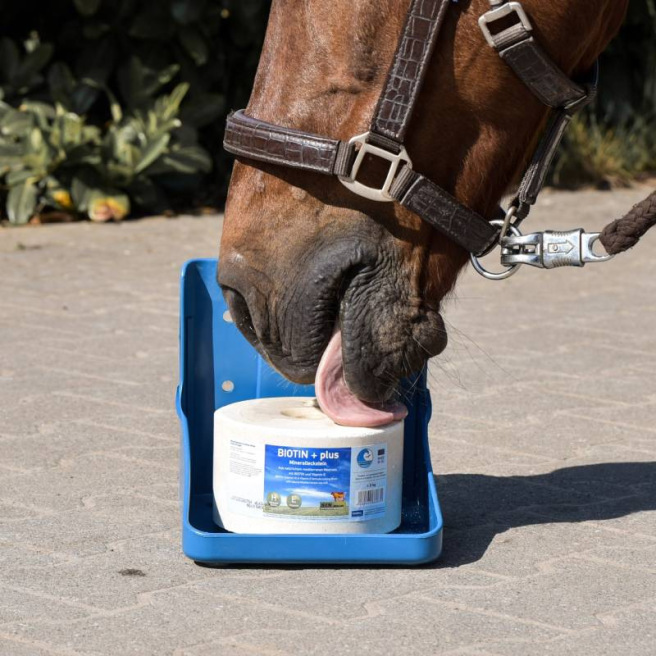 Pierre à sel Biotin PLUS