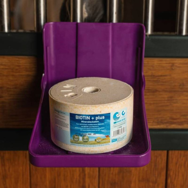 Pierre à sel Biotin PLUS