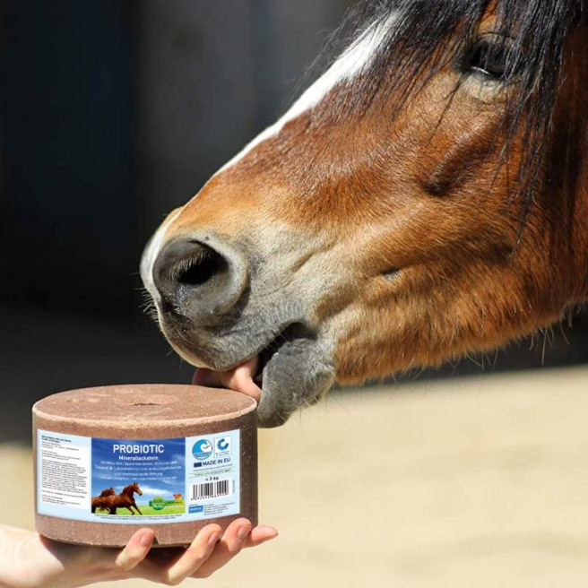 Pierre à sel Probiotic