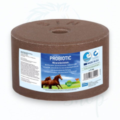 Pierre à sel Probiotic