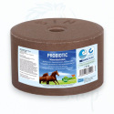 Pierre à sel Probiotic