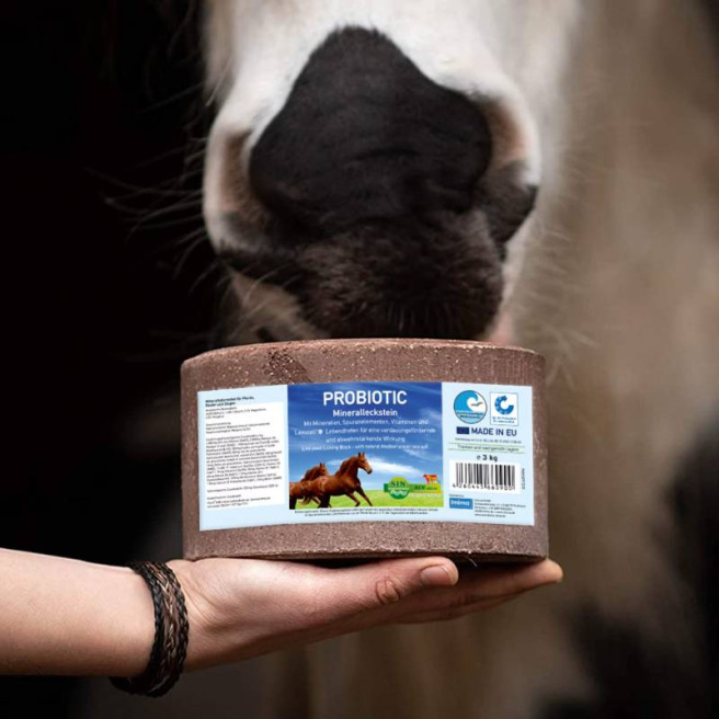 Pierre à sel Probiotic