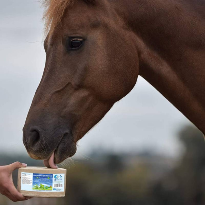 Pierre à sel MultiVitamin BRONCHIAL