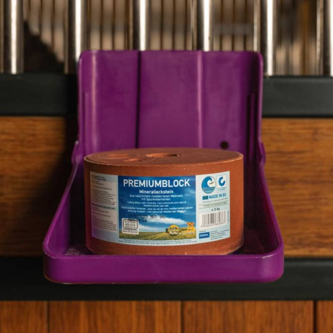 Pierre à sel Premiumblock