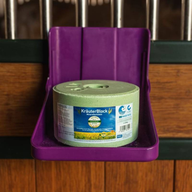 Pierre à sel HerbaBlock