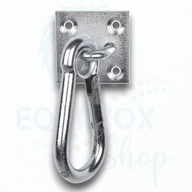 Mousqueton sur plaque