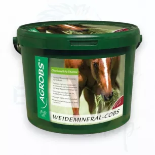 CMV en bouchons par Agrobs