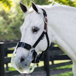 FAQ sur les paniers anti-fourbure