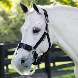 FAQ sur les paniers anti-fourbure