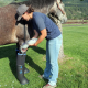 Easyboot Remedy. Botte de trempage et de soin pour chevaux.