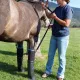 Easyboot Remedy. Botte de trempage et de soin pour chevaux.