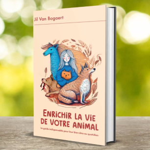 Enrichir la vie de votre animal : Le guide indispensable pour leur bien-être quotidien