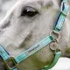 Licol de sécurité Horseware® rouge fluorescent