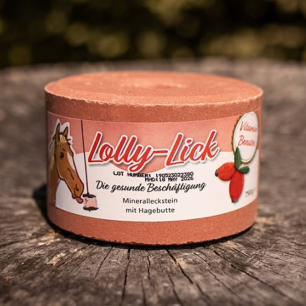 Pierre à sel Lolly-Lick - même format que Likit