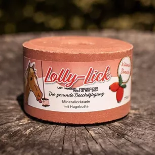 Pierre à sel Lolly-Lick - même format que Likit