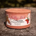 Pierre à sel Lolly-Lick - format similaire au Likit