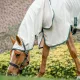 Couverture anti-dermite Horseware® Rambo® Hoody