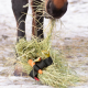 TUCK’N’TREAT – Enrichissement alimentaire stimulant pour les chevaux
