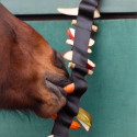TUCK’N’TREAT – Enrichissement alimentaire stimulant pour les chevaux