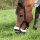Panier Freegraze par Shires Equestrian