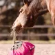 Fluffy Feeder - distributeur de foin slowfeeder