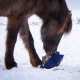 Fluffy Feeder - distributeur de foin slowfeeder