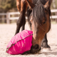 Fluffy Feeder - distributeur de foin slowfeeder