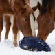 Fluffy Feeder - distributeur de foin slowfeeder
