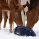 Fluffy Feeder - distributeur de foin slowfeeder