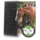 Grattoir pour chevaux - Two Fair Mares