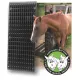 Grattoir pour chevaux - Two Fair Mares