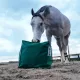 Fluffy Feeder - distributeur de foin slowfeeder