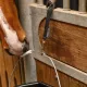 Sangle pour suspendre un seau, un filet à foin ou autre