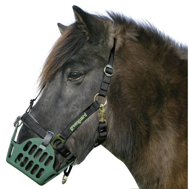 Licol de sécurité Greenguard®