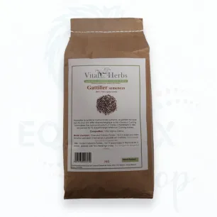 Graines de Gattilier - Vital'Herbs
