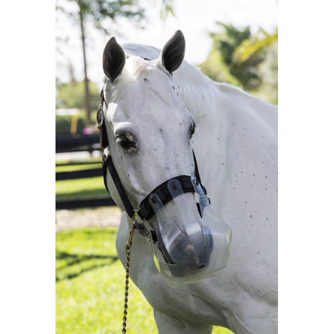 Enveloppes De Jambes équines Smart Pak – Sans Nœud – Taille Cheval – Paire (neuve)