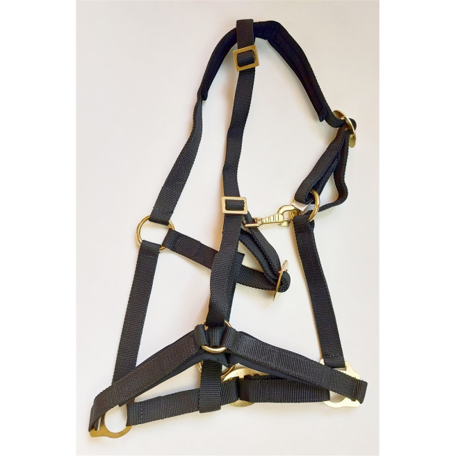 Licol de sécurité Greenguard®