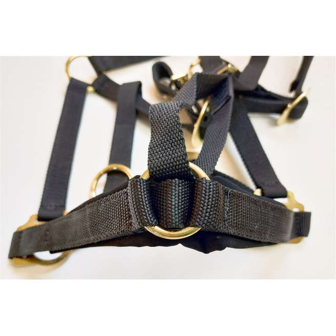 Licol de sécurité Greenguard®