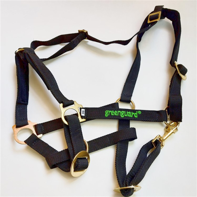 Licol de sécurité Greenguard®