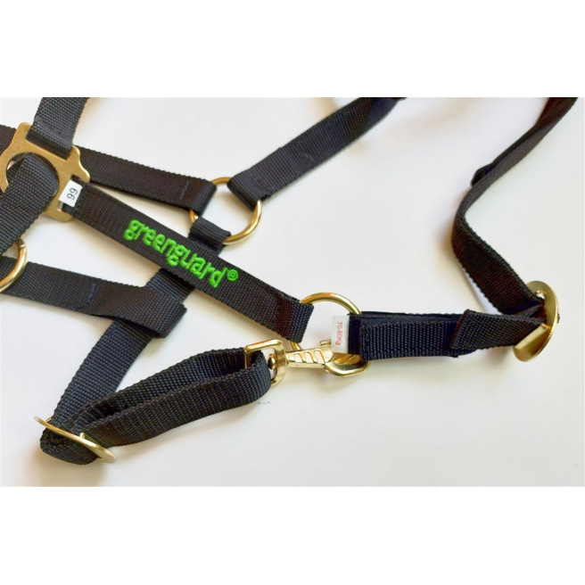 Licol de sécurité Greenguard®