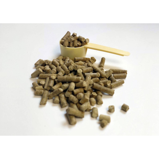 Top CMV equin par Vital'Herbs