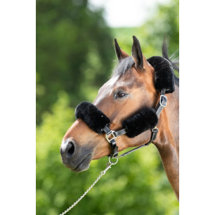 Protections en mouton véritable pour licol par 4