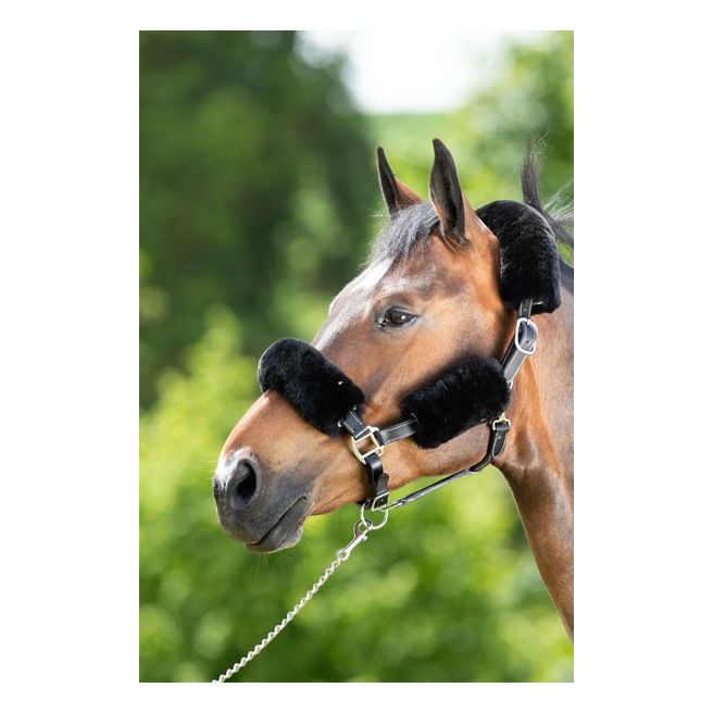 Protections en mouton véritable pour licol par 4