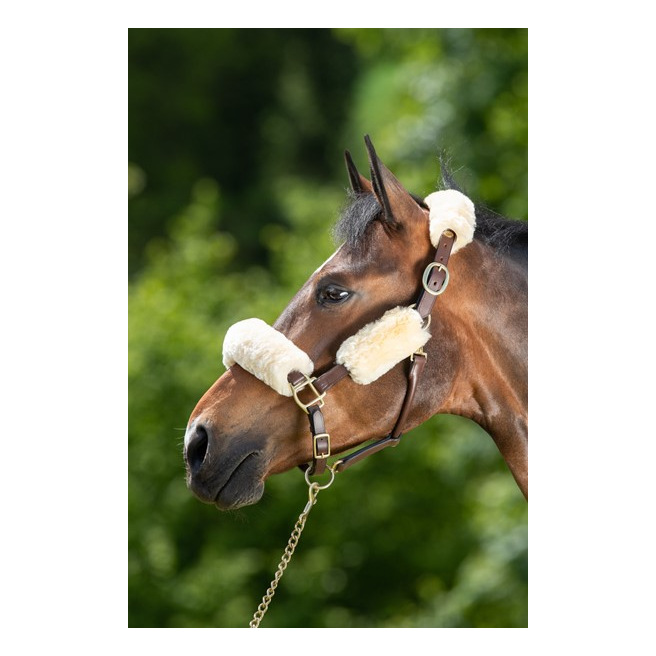 Protections en mouton véritable pour licol par 4