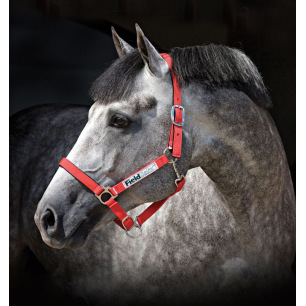 Licol de sécurité Horseware® rouge fluorescent