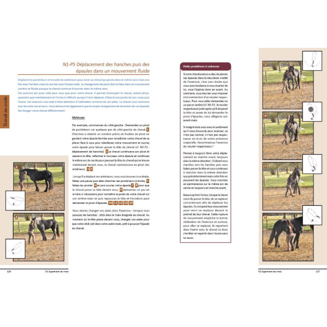 Dialoguer avec son cheval