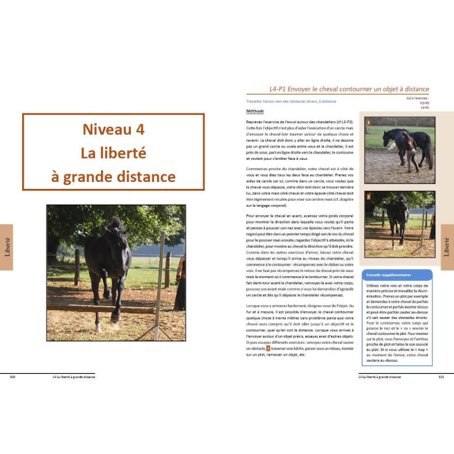 Dialoguer avec son cheval