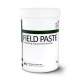Field Paste